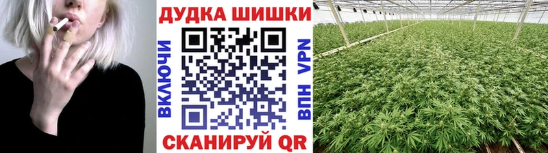 Где купить Козельск Alpha PVP  Меф 