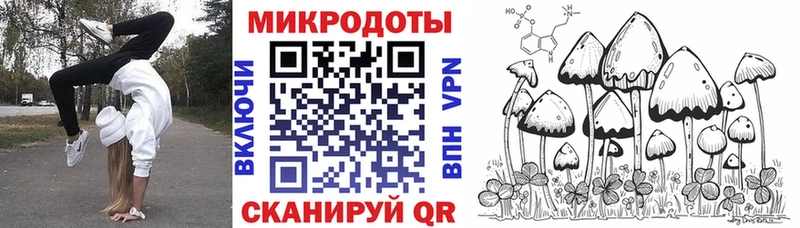 Галлюциногенные грибы Psilocybine cubensis  Козельск 